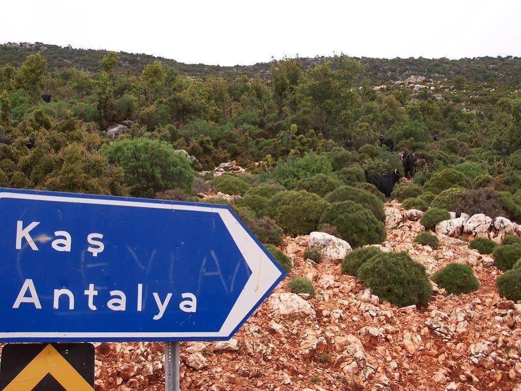 Ani Pension Hotel Kaş Luaran gambar